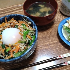 ビビンバ丼の具